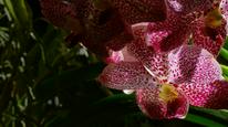 Tập 02