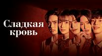 Tập 6