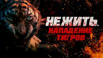 Tập Full