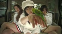 Tập Tập 03