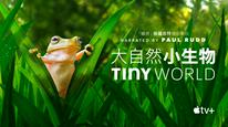 Tập 1