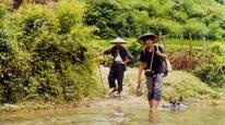 Tập Full