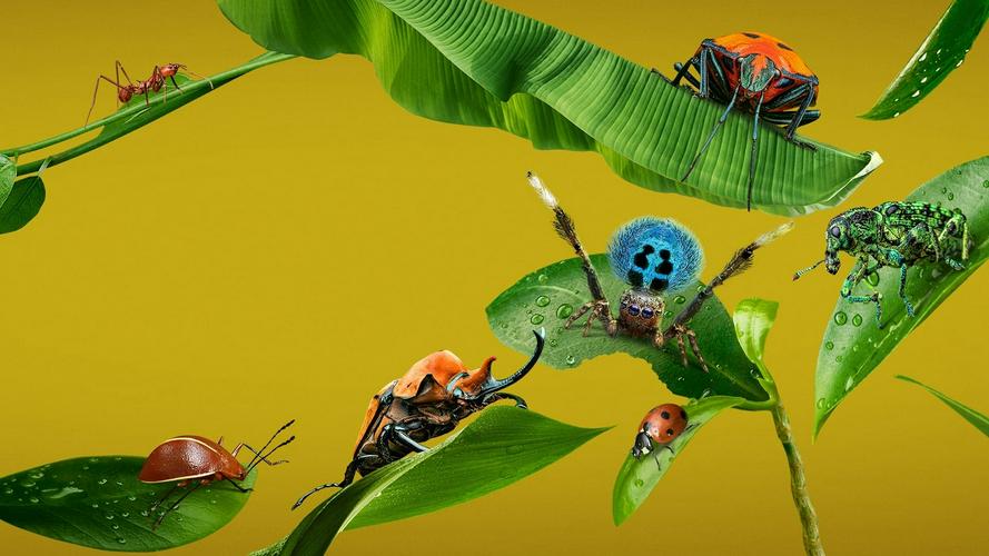 Tập 1 A Real Bug's Life