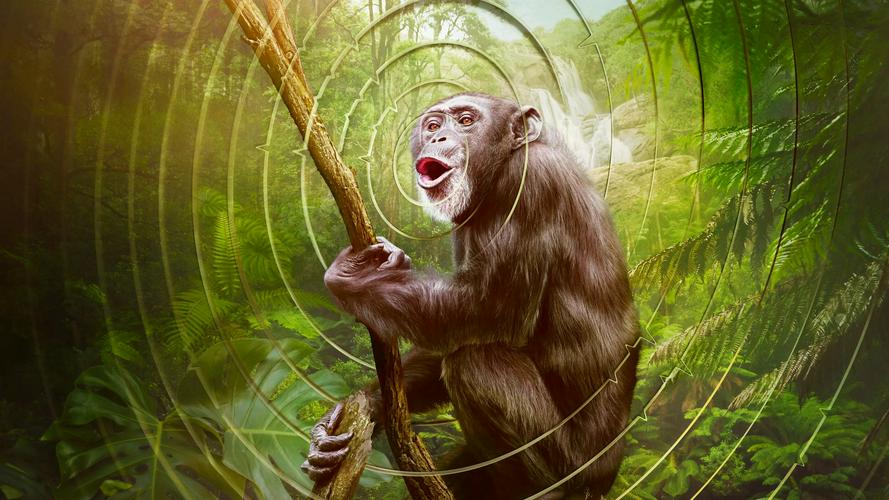 Tập 12 Âm Thanh Của Trái Đất - Earthsounds