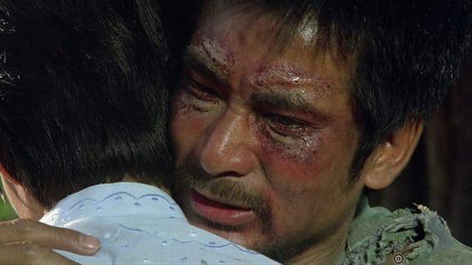 Tập Full Anh Hùng Vô Lệ