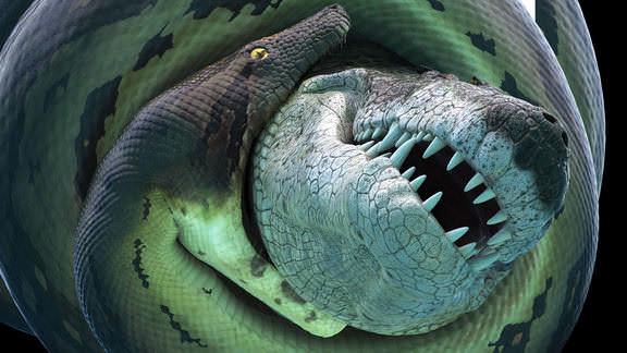 Tập Full Bí Ẩn Quái Vật Khổng Lồ Titanoboa
