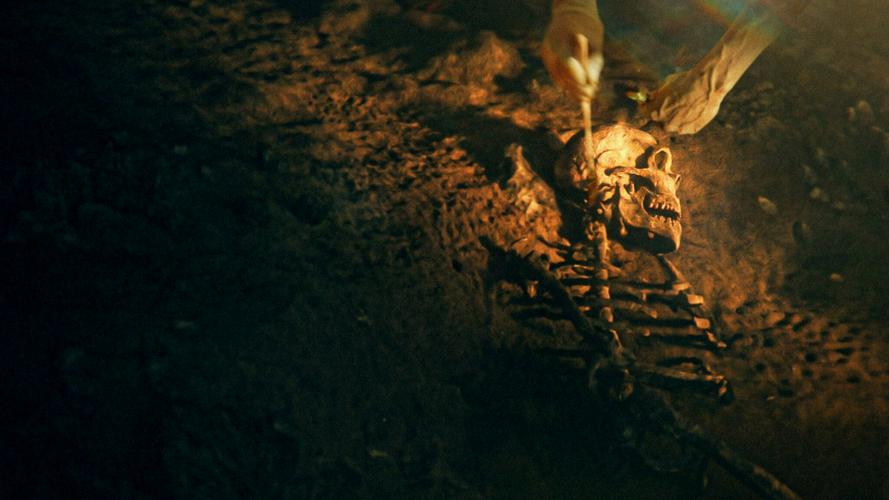 Tập Full Bí mật của người Neanderthal