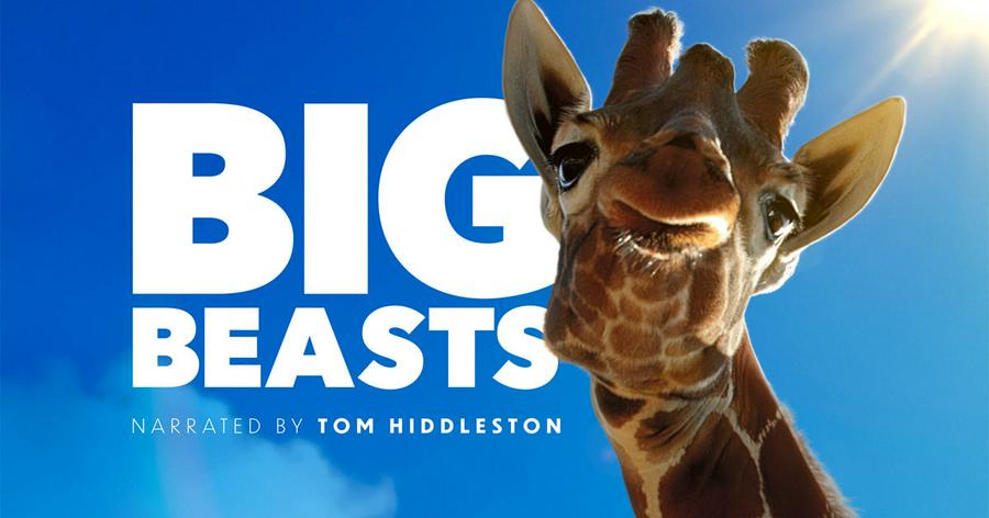 Tập 10 Big Beasts