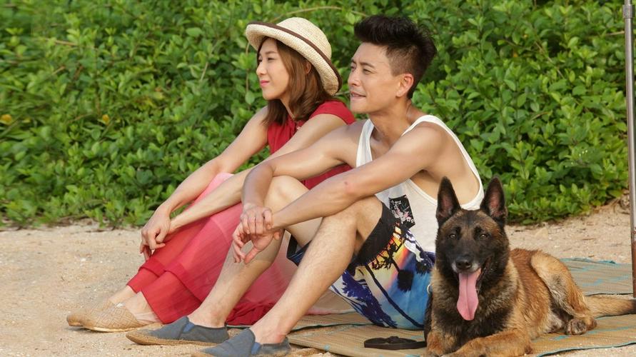 Tập 1 Cảnh Khuyển Ba Đả