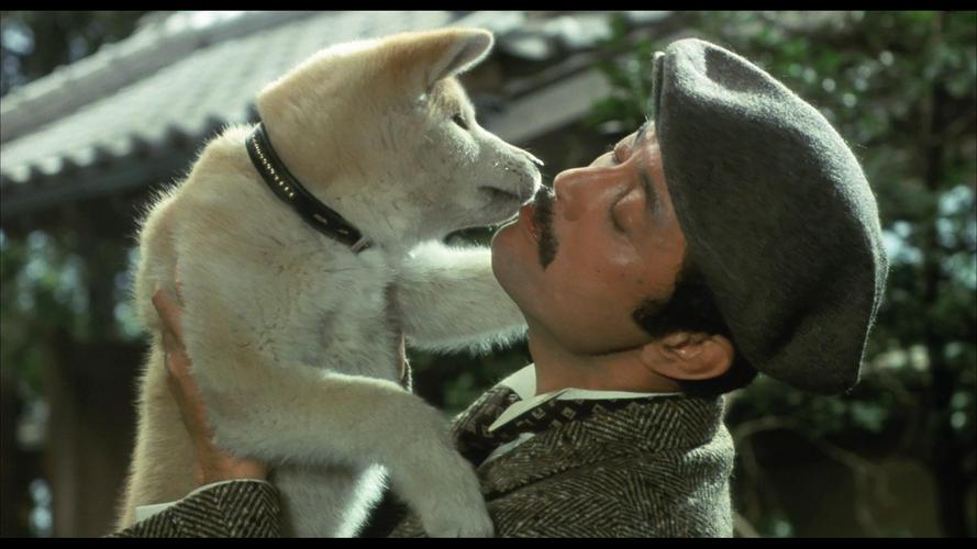 Tập Full Câu Chuyện Về Chú Chó Hachiko