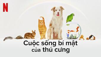 Tập 1 Cuộc sống bí mật của thú cưng