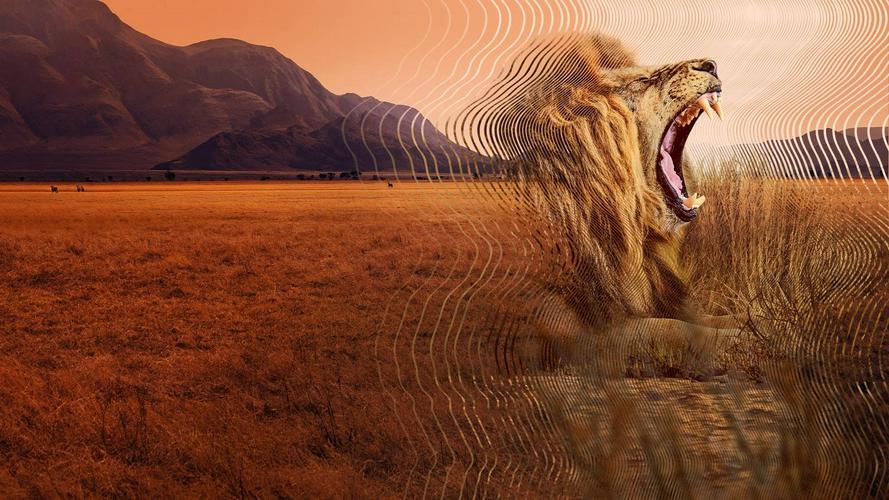 Tập 01 David Attenborough: Thế giới bí mật của âm thanh