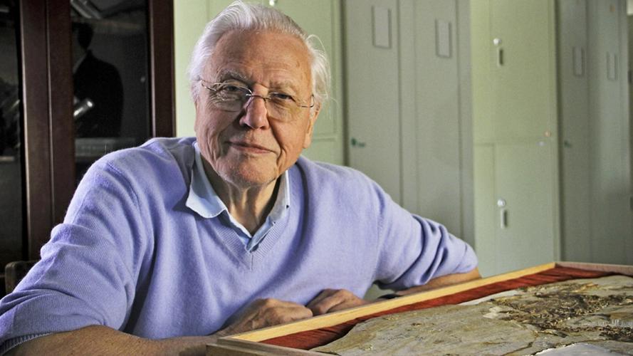 Tập 2 David Attenborough's Rise of Animals: Triumph of the Vertebrates