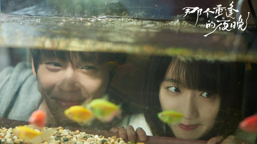 Tập 1 Đêm Đoàn Tụ Ấy