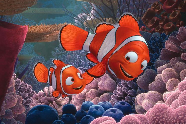 Tập 1 Đi Tìm Nemo