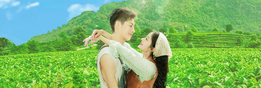 Tập 1 Đồi Trà Tình Yêu