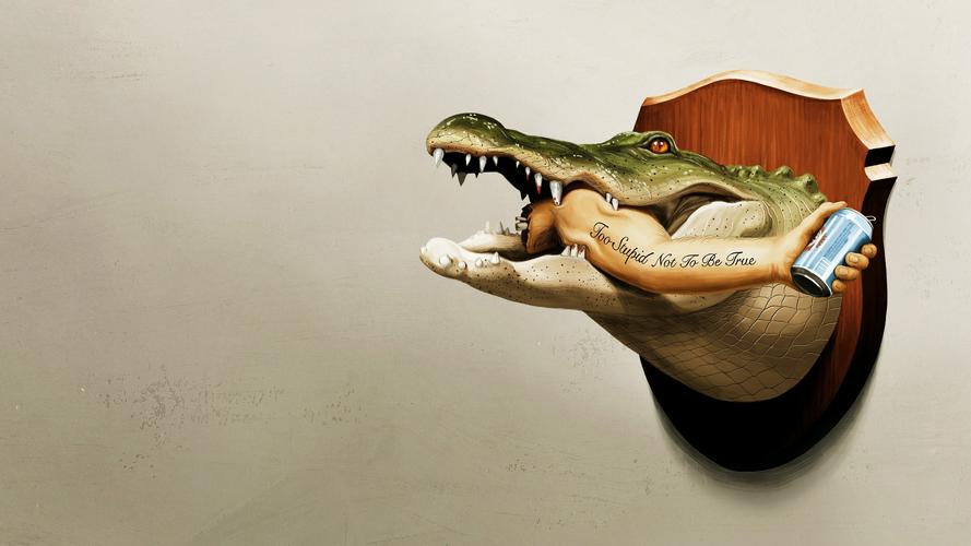 Tập 1 Florida Là Thế Đó