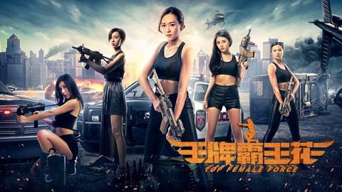 Tập Full Hoa Acemaster