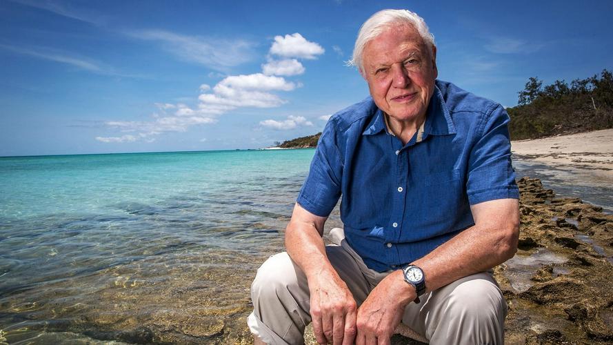 Tập 03 Khám Phá Rạn San Hô Great Barrier cùng David Attenborough