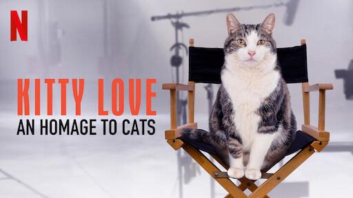 Tập Full Kitty Love: Mèo cưng nhà mình