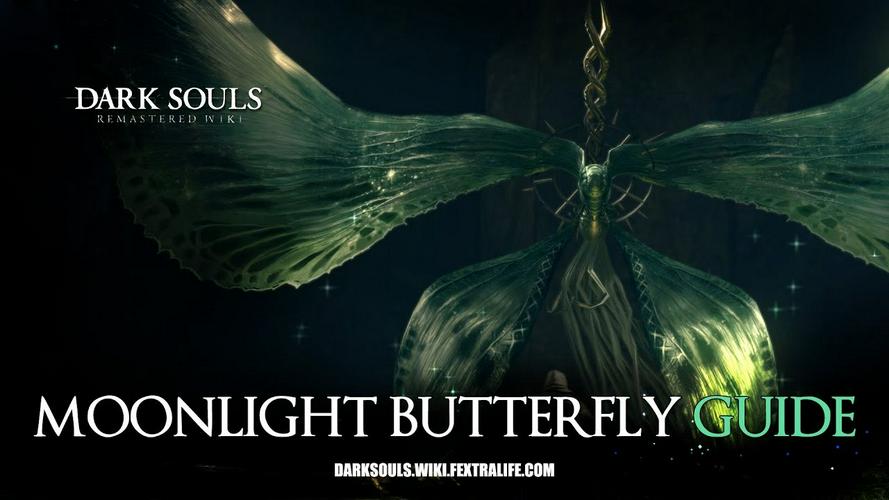 Tập Full Moonlight Butterfly