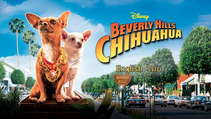 Tập Full Những Chú Chó Chihuahua