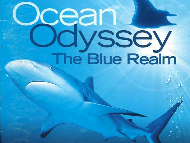 Tập 08-Humpbacks: From Tonga to Antarctica Ocean Odyssey: The Blue Realm