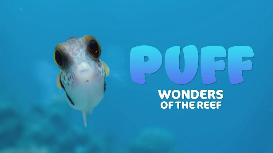 Tập Full Puff: Rạn san hô kỳ diệu