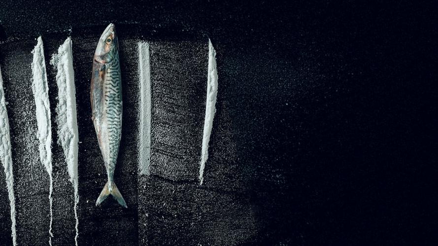 Tập  Sống Triều Đổi Vận: Câu Chuyện Siêu  Thực Tế Rabo de Peixe