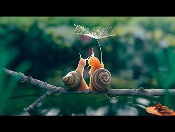 Tập Full Thế Giới Côn Trùng