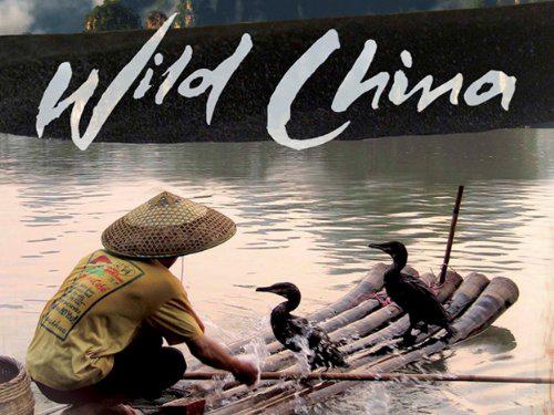 Tập 1 Thiên Nhiên Hoang Dã Trung Quốc