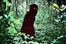 Tập Full Uncle Boonmee Who Can Recall His Past Lives