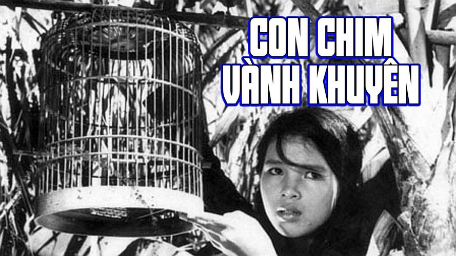 Tập Full Con Chim Vành Khuyên