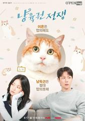 Cuộc Chiến Giành Quyền Nuôi Mèo