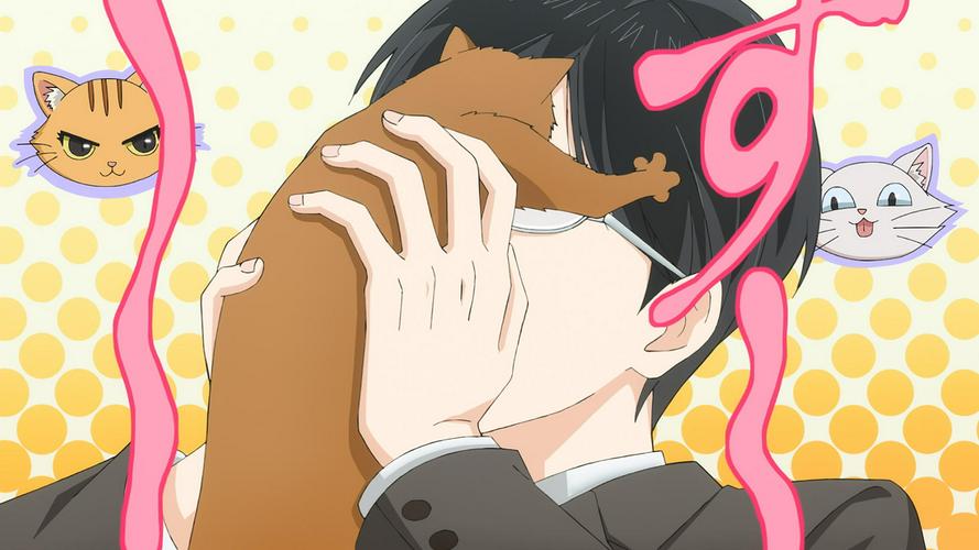 Tập FULL Neko ni Naritai Tamagawa-kun